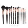 The Pro Touch 15 Pieces Brush Set – CHX005